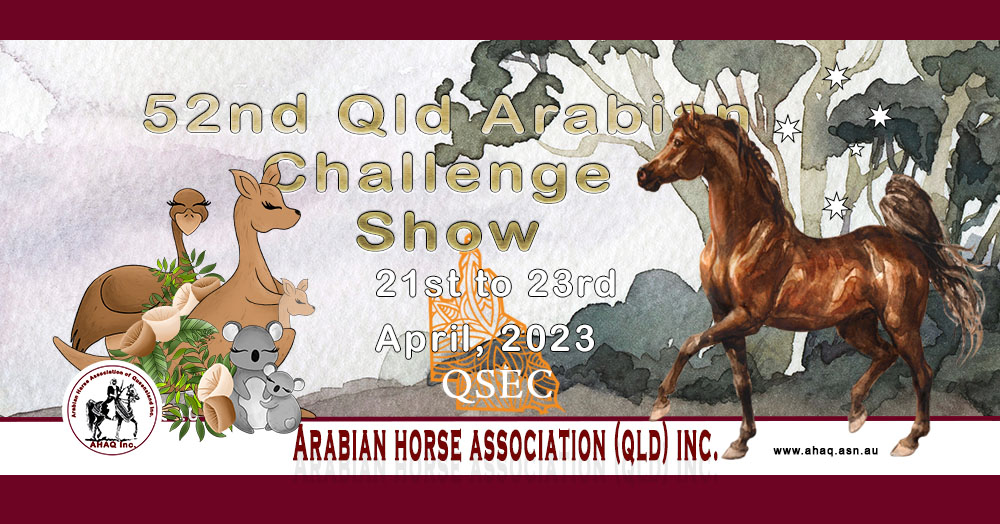 52nd Qld Arabian Challenge Show 2023
